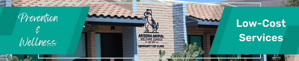 wellness and prevention services